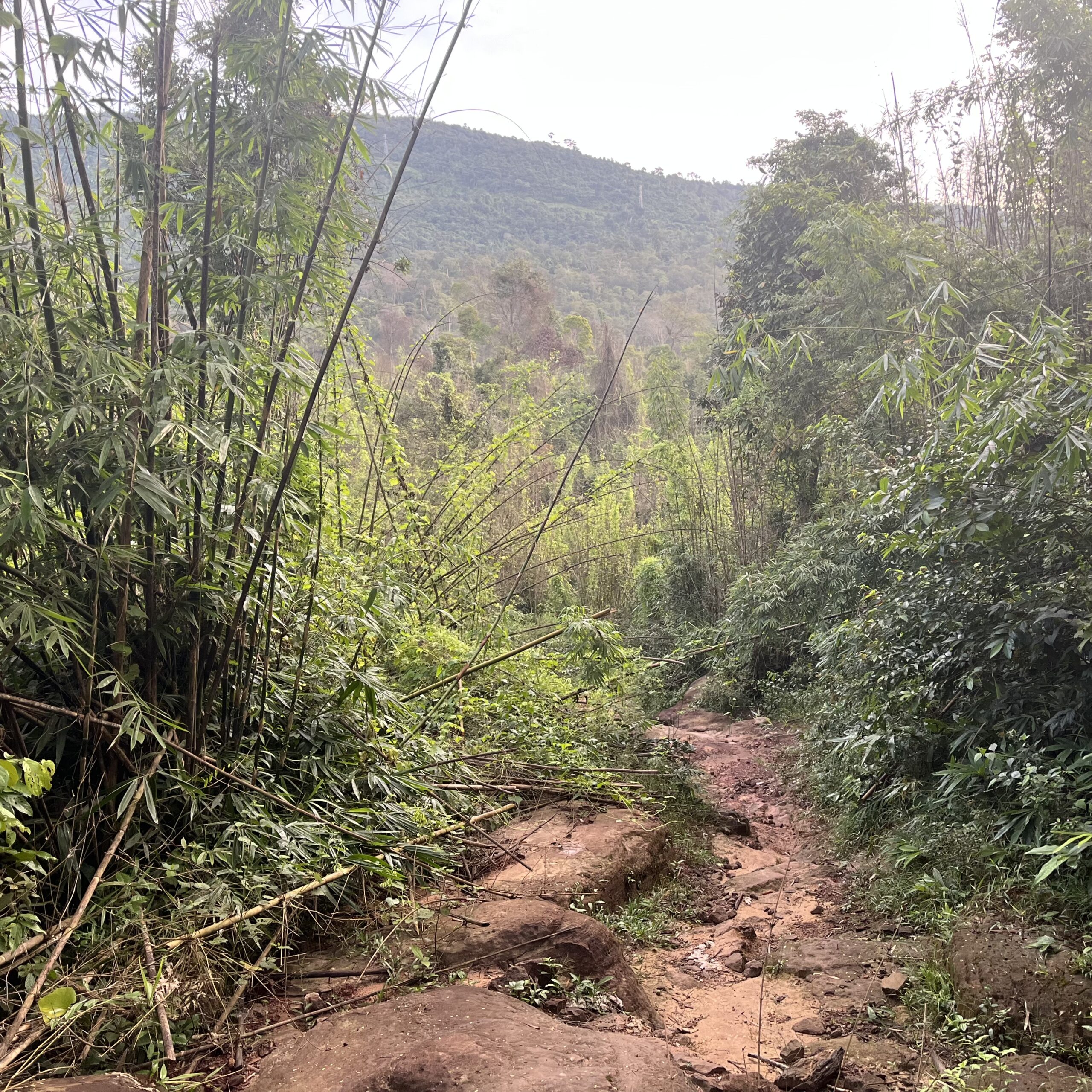 The Ghost on the Trail