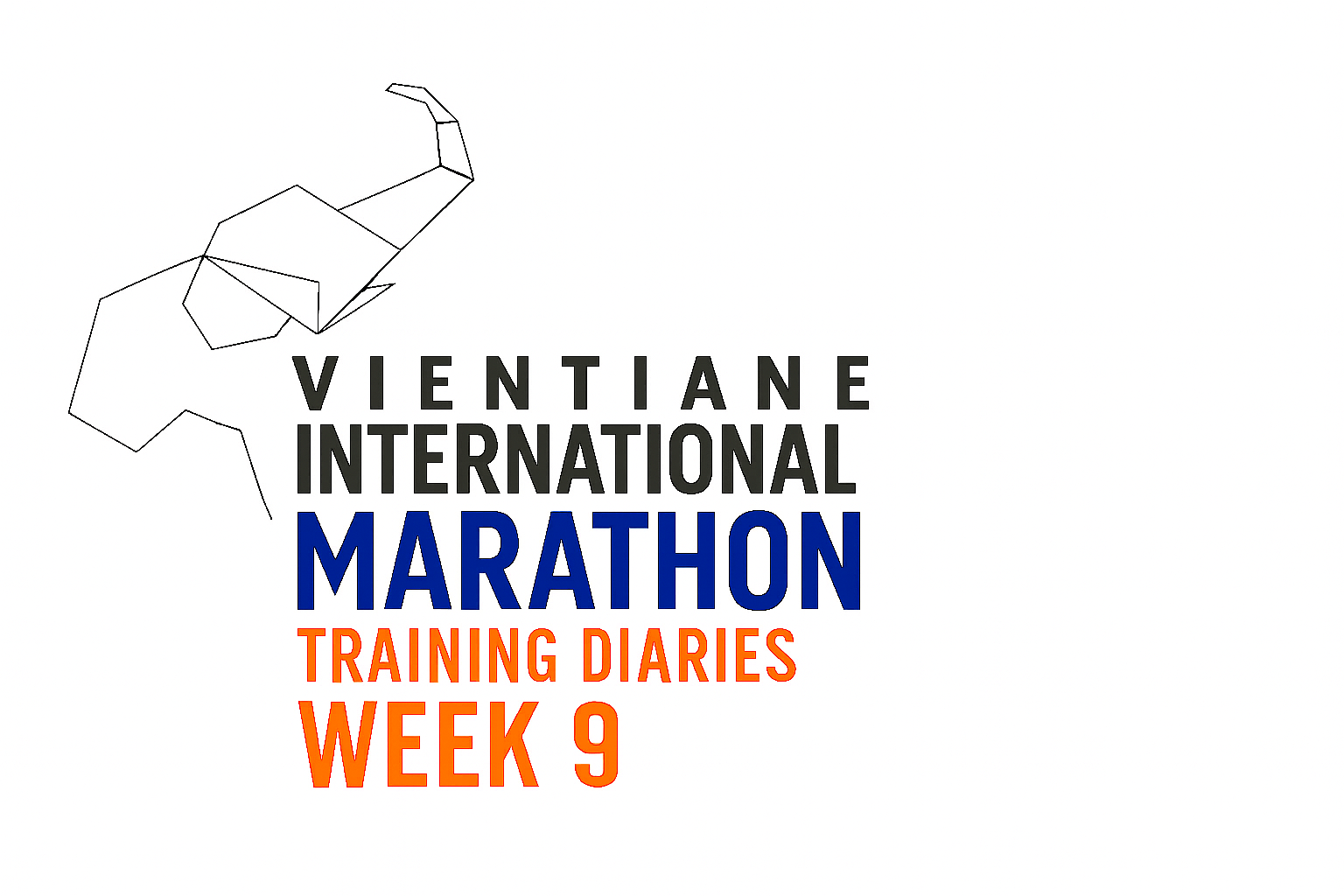 Vientiane International Marathon Training Diary – Week 9 Recap