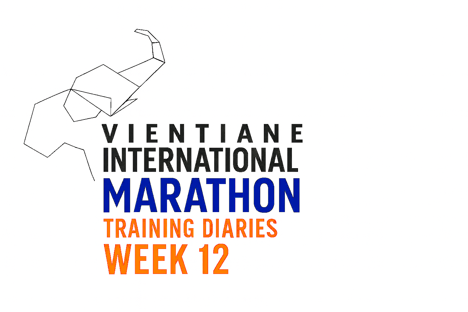Vientiane International Marathon Training Diary – Week 12 Recap